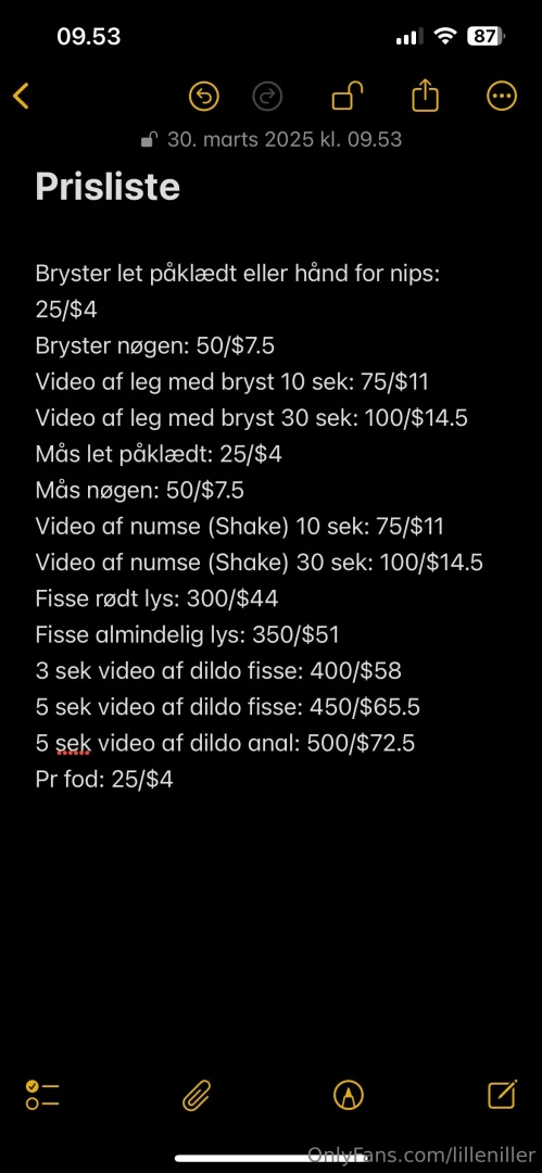 Projekt ny bil s jeg kan komme lidt rundt i verden 