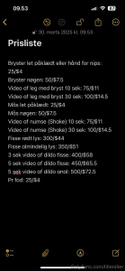 Projekt ny bil s jeg kan komme lidt rundt i verden