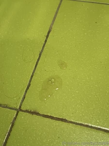 Had few guys over today and they left me well bred kept their loads