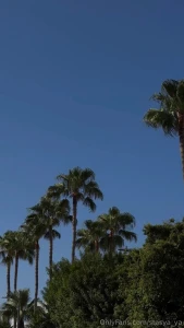 I ve been thinking about the possibility of adding music to of posts part 1