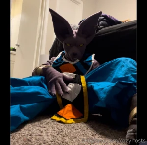 So ill also through out i do have a beerus if theres interest in