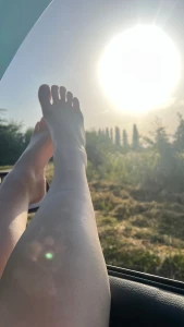 Another sunny morning part 3