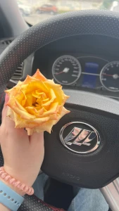 About the upgrades for the courses the entire training is divided into part 1