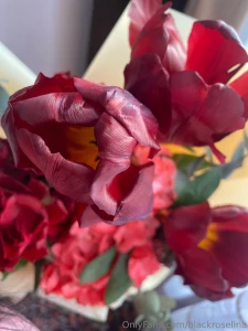 Just look at this beauty well who doesn t love tulips there are no