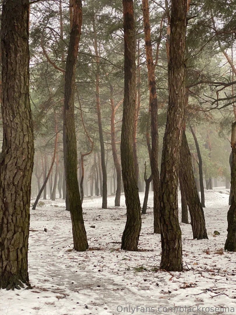 There wasn t much snow this year but every winter day was special i 