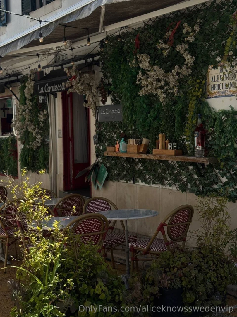 Alice goes to portugal edition had the best time taking in the sun and part 3 