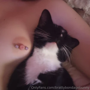 Another happy caturday