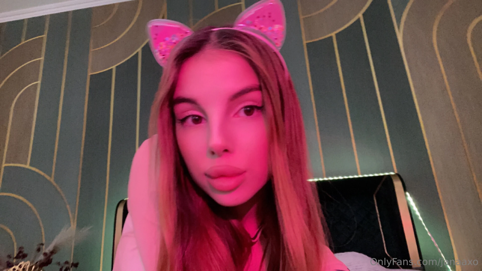 This kitty needs attention part 2 