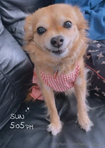 Provide support for my baby girl miss bella