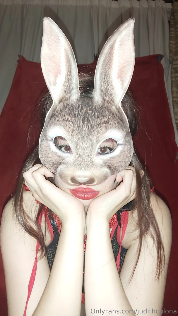 T ladybug de confianza o t conejita porni 