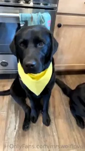 Turn volume up lol don t mind my voice i m getting over being sick