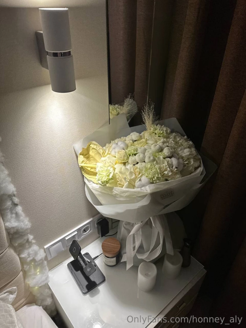 Honney-aly part 30496 