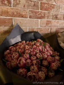 Honney-aly part 31077