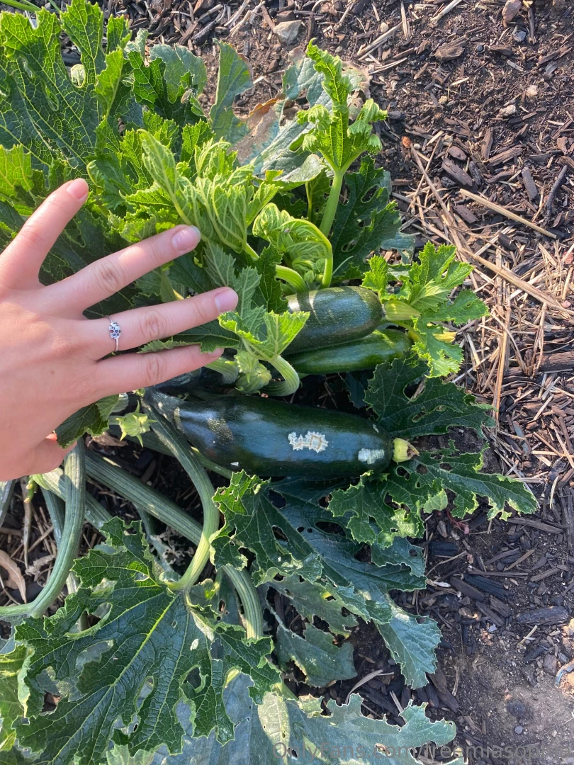 Do you garden check it out my gardens finally getting big part 1 
