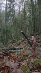 Did you like the picture of me naked in the woods then you re gonna