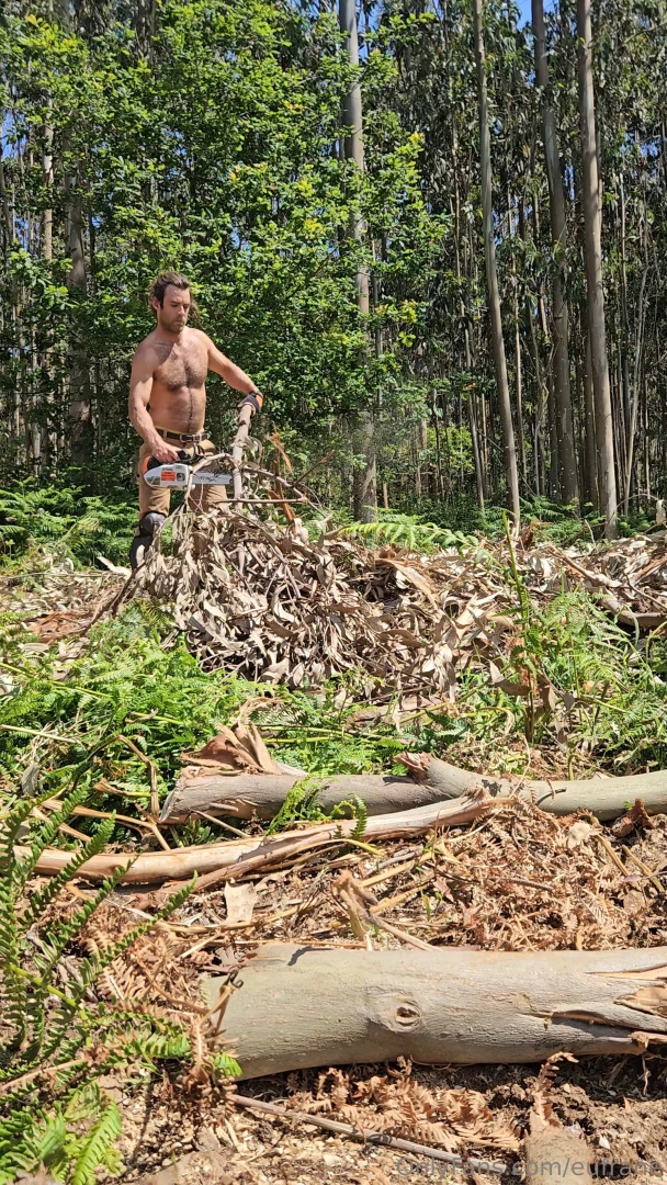 Your sexiest lumberjack at work cutting branches and tossing them away 