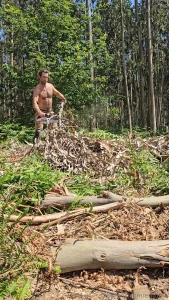 Your sexiest lumberjack at work cutting branches and tossing them away