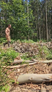 Your sexiest lumberjack at work cutting branches and tossing them away part 1