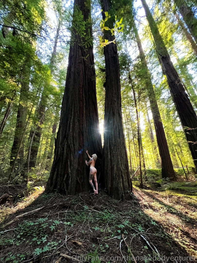 marilynmaestarr1 - The redwoods speak to me 