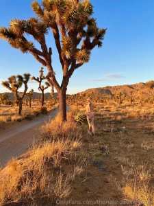 Desert things
