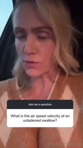 Ask me anything unladened swallow