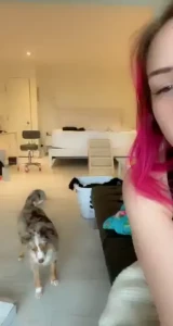 I wonder if any of you can beg as good as my puppy