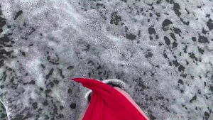 Beach with black squeak and me in a red dress part 2