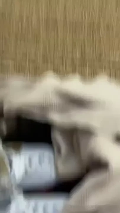 I m having fun are you part 5 