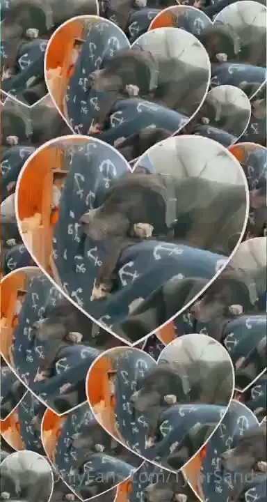 Get my snap chat for gems like these 