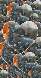 Get my snap chat for gems like these