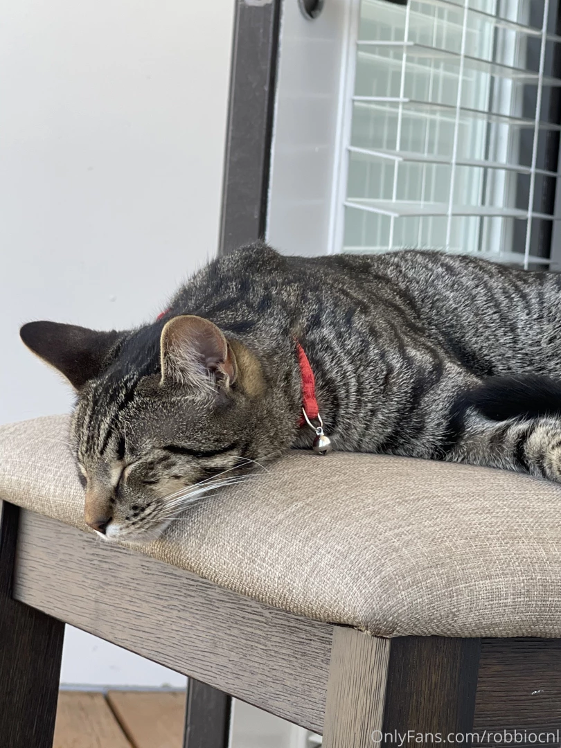 Swipe to see my pussy part 17 