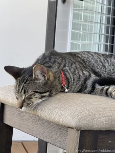 Swipe to see my pussy part 17