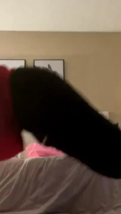 Stream started at 02 21 2024 11 13 pm 