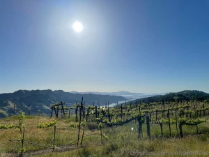 I could miss you more i should go to norway part 1