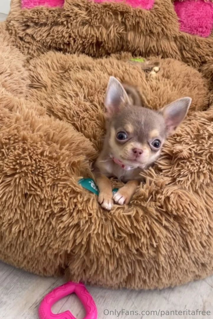 The weekend was filled with love say hello to my new baby her name is 