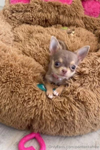 The weekend was filled with love say hello to my new baby her name is