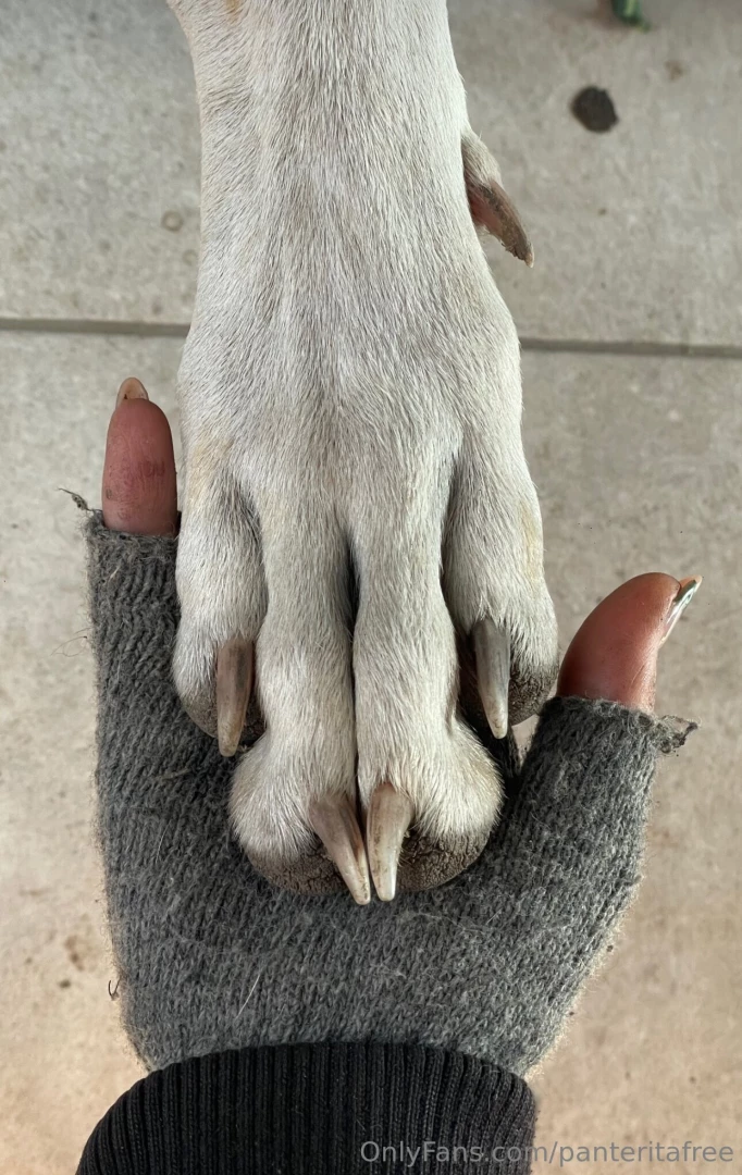 I don t even know where my deep love for our furry friends comes from 