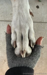 I don t even know where my deep love for our furry friends comes from