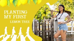 Hey garden lovers today is a special day i m planting my very first
