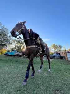 Say hello to my big new friend have you ever ridden a horse