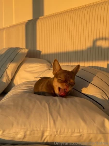 I hope today s friday is definitely not for sleeping in hello from