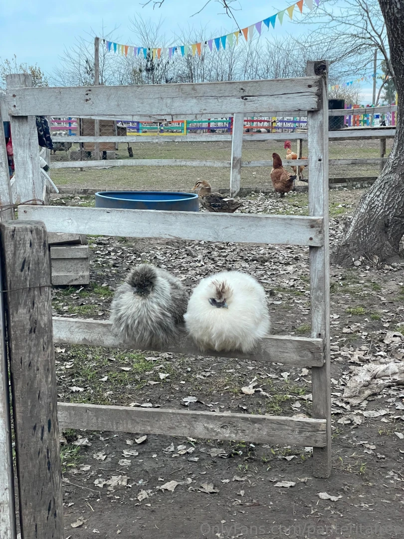 You and me farmhouse days 