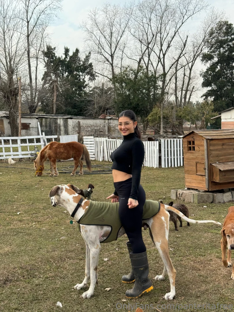 I love animals today is a wonderful day part 1 