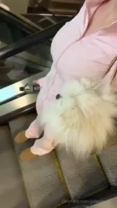 My purse or my pet part 1