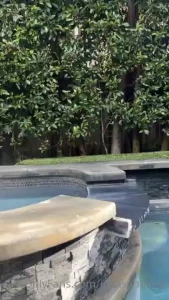 It s my birthday wooooo spoil me in my inbox today and i ll spoil you