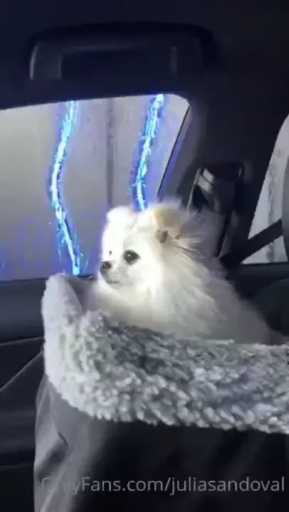 Juliasandoval1 part 26 