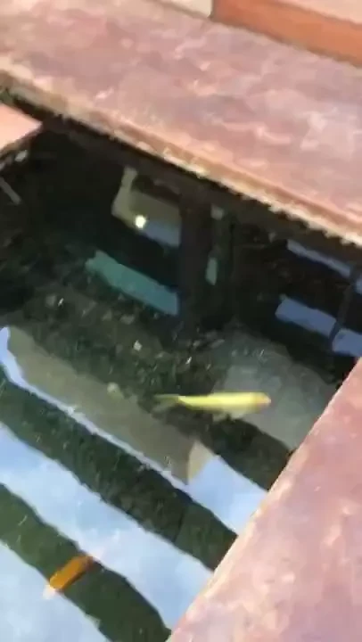 Shooting for falcon this past monday had a blast filming is such a 