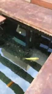 Shooting for falcon this past monday had a blast filming is such a