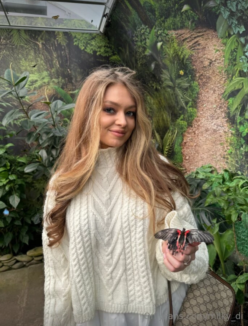 Butterflies flit and flutter around you their colorful wings painting 