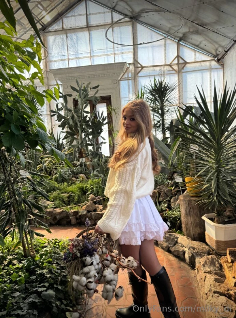 The sun s rays peek through the lush canopy above dappling the ground 